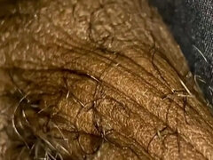 Amatéri, Americkej, Čierne, Sólo