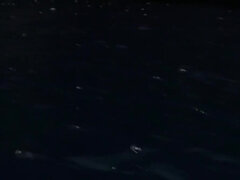 Szőke, Gesztenyebarna, Ondó fröcskölés, Kézimunka, Fajok közötti, Orgazmus, Szabadban, Nuni