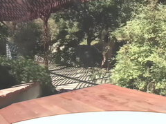 Avsugning, Sperma shot, Naturliga tuttar, Bröstvårtor, Utomhus, Gravid, Fitta, Vintage