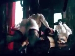 Suihinotto, Kokoelma, Kyrpä, Tumma, Ryhmäpano, Sekarotuinen