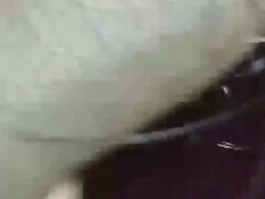 Leie, Behaart, Indisch