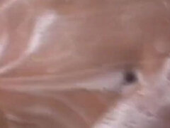 항문, 아시안, 화장실, 레이디보이, 성전환자