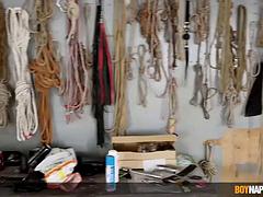 Schwul, Hardcore, Spielzeuge