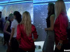 Boquete, Botas, Transar de quatro, Hardcore, Lésbica, Orgia, Festa, Meias finas