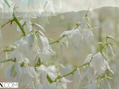 Suihinotto, Kermakakku, Fetissi, Käsihoito, Selkäsauna, Pillu, Punapää, Ratsastaa