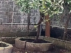 Garden Girlfriend with Boyfriend Blowjob and Fucking Without Condom