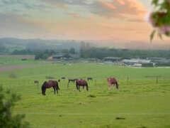 Amatør, Kukk suging, Hd, Lesbisk, Onani, Naturlige bryster, Synsvinkel, Fitte