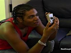 Krémes süti, Fajok közötti