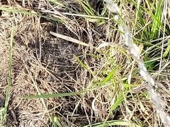 Leie, Spermaladung, Handjob, Masturbation, Solo