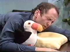 Mellanrasig, Porrstjärnor