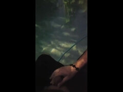 Paar, Handjob, Selbstgemacht, Pool