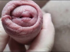 Grote lul, Stel, Lul, Europees, Spel, Handbeurt, Hd, Masseren