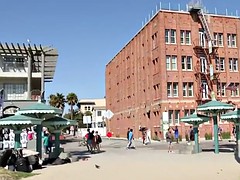 Amatőr, Leszbikus, Tini, Játékszerek