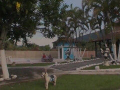 巨乳な, ハードコア, 異人種間, 自然山雀, アウトドア, プール, 三人, オッパイの