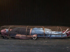 Muscular man is tied up and caged by a sadistic pervert