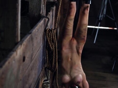 Traseiro, Bondage disciplina dominação submissão sadismo e masoquismo, Bundão, Loucoa, Fetiche, Hardcore, Melharucos naturais, Xoxota