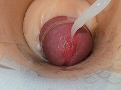 Amerikansk, Sperma shot, Pappa