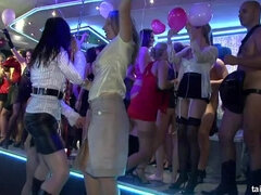 Handskar, Lesbisk, Slick, Party, Fitta, Stockings, Swingers, Tuttar