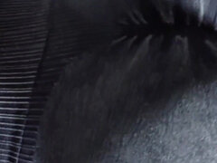 Amatéri, Veľký zadok, Pár, Striekanie semena, Homemade, Spandex