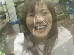 Pár, Japonské, Z pohľadu účastníka