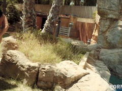 Tekintélyes didik, Fekete, Gesztenyebarna, Arcra élvezés, Tátongó, Szabadban, Leborotvált, Begyek