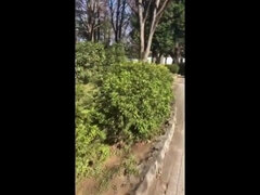 Asijské, Kotě, Velké péro, Kuřba, Macaté, Hardcore, Homemade, Spodní prádlo