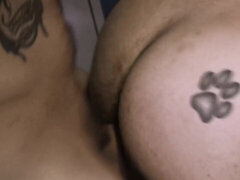 Homo