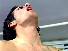 Nemke, Kosmate, Zrela