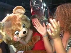 Pauzão, Loiroa, Pau, Festa