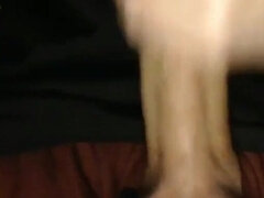 Grote lul, Sperma shot, Daddy, Europees, Masturbatie, Alleen