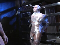 Gay bicha veado