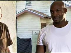 Ebony Sex - Melrose Foxxx 2: Big Tits, Big Ass  Blowjob Porn