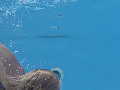 美女, フェティッシュ, 彼女, プール, ポルノスター, ロシア人, 一人, ティーン