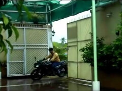 Amatőr, Cumizás, Gesztenyebarna, Indiai