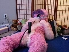 Wooly, fursuit, petplay