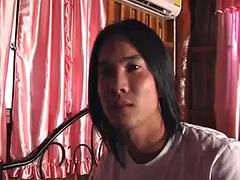 Asiatisk, Baben, Thai