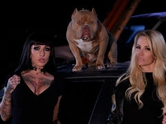 Slikke rumpe, Store pupper, Brunette, Bil, Kyssing, Lesbisk, Slikking, Stripping