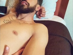 Las vegas, circus, cougar