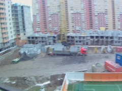 Amador amadora, Europeu, Xoxota, Russoa