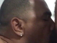 Πίπα, Σπιτικό