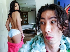 Velký zadek, Velké péro, Kuřba, Brunetka, Na pejska, Přírodní prsa, Teenka, Kozičky