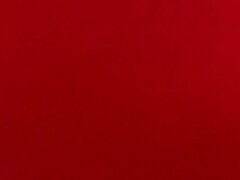 Amatéři, Kuřba, Dospělé