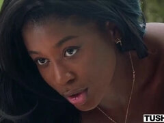 Nicole Kitt Anal Vacation - Ebony Tourist Takes Big Cock in Her Ass
