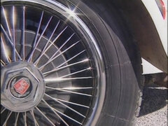 Anál, Zadek, Kotě, Velké kozy, Blondýna, Brunetka, Pička, Zastaralé