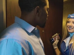 Kotě, Černé, Blondýna, Mezirasové, Seřezání