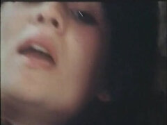 Όργιο, Πάρτυ, Ρετρό