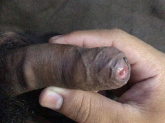 A Small Penis of a Young Man Who Likes to Cum