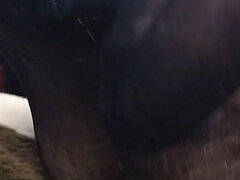 Africain, Amateur, Gros seins, Noire, Fétiche, Fétiche des pieds, Nylon, Collant