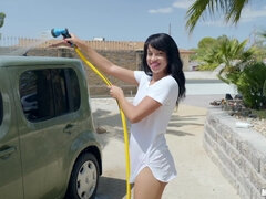 Tispe, Kukk suging, Mørk, Raseblandet, Synsvinkel, Ridning