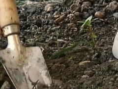 アナル, フェラチオ, イく瞬間, 淫乱熟女